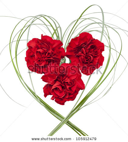 Carnations Isolated Three Stock Photos Illustrations And Vector Art