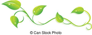 Climbing Ivy Vector Clipart And Illustrations