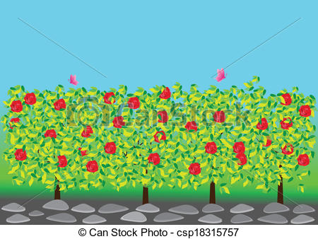 Clipart Vector Of Rose Garden   Illustration Of Red Roses And
