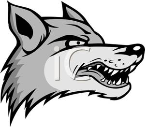 Gray Scowling Wolf Clipart Image