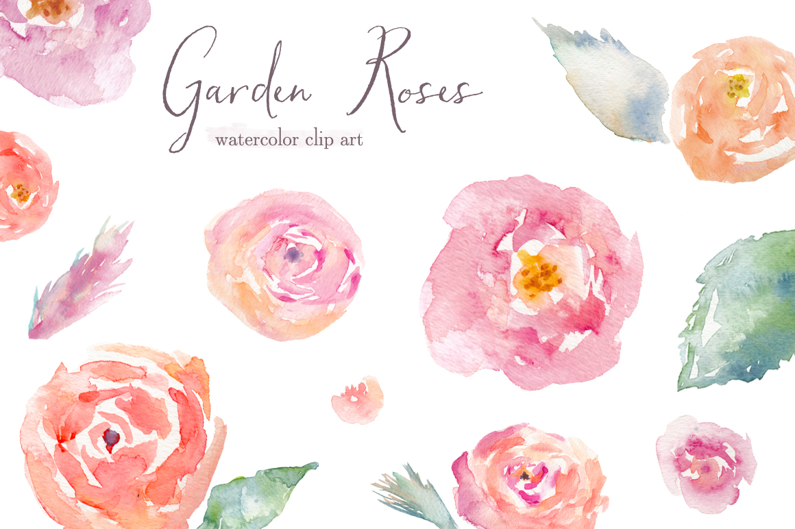 Home Clip Art Garden Roses Watercolor Rose Clip Art