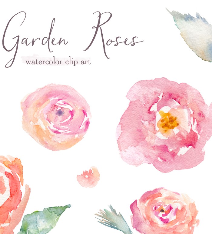 Home Clip Art Garden Roses Watercolor Rose Clip Art
