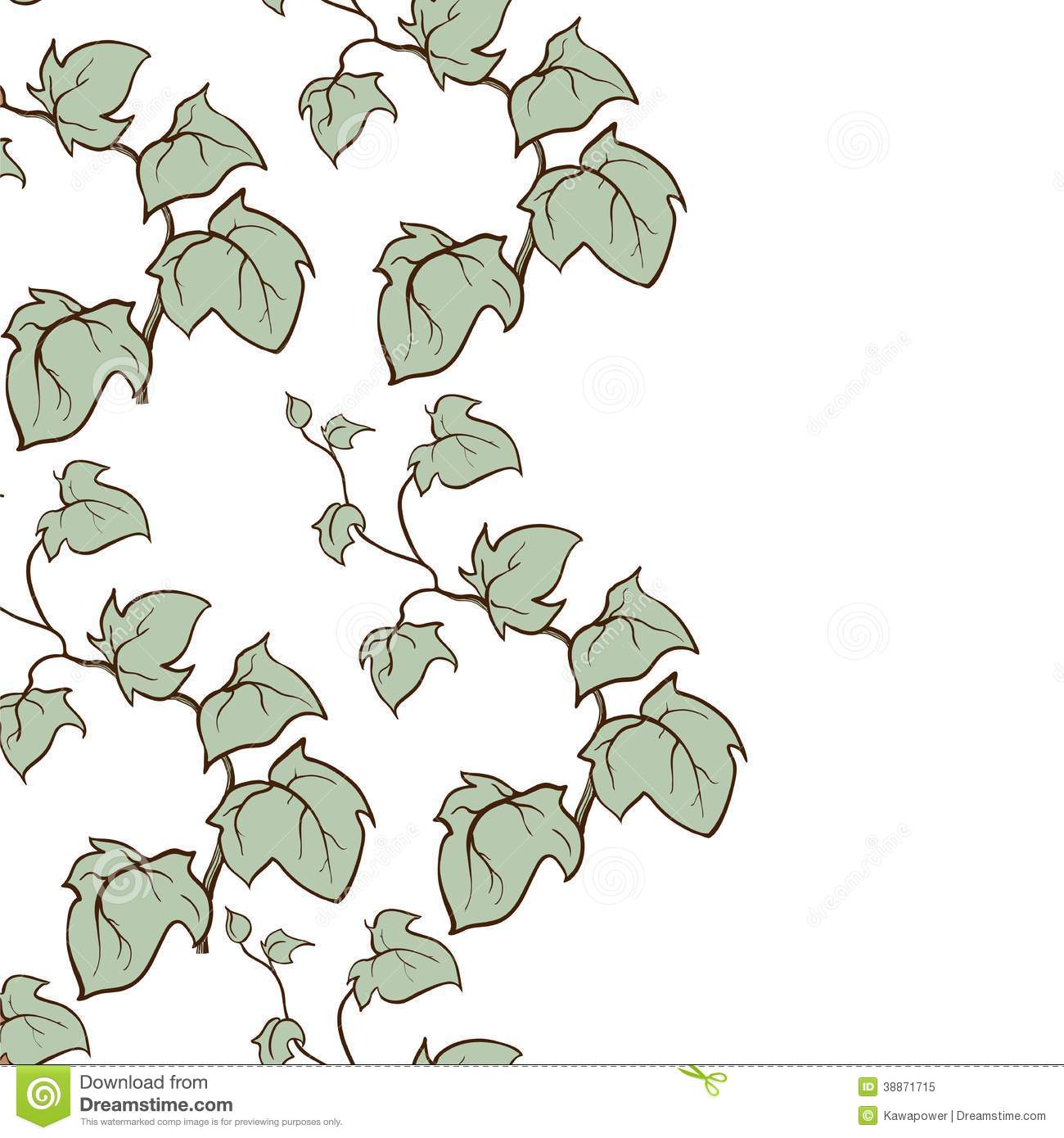 Ivy Vector Hand Dravn Seamless Pattern  Climbing And Ground Creeping    