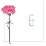 Pink Carnation Stock Vectors Illustrations   Clipart
