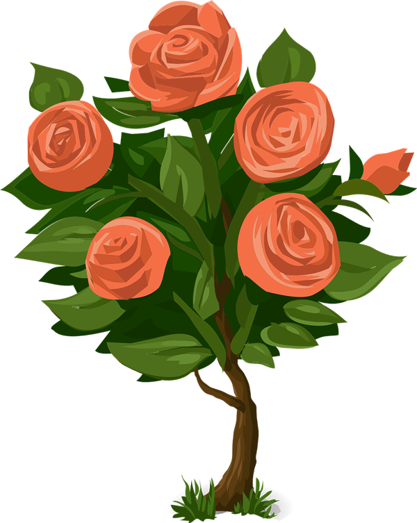 You Can Use This Beautiful Rose Plant Clip Art With Lots Of Roses On    