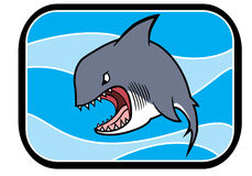 Cartoon Hungry Shark Stock Vectors Illustrations   Clipart