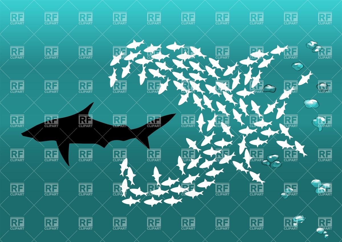 Flock Of Small Fishes Attacks Shark Download Royalty Free Vector