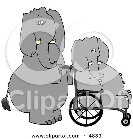 Human Like Caretaker Elephant Pushing Injured Elephant In A Wheelchair