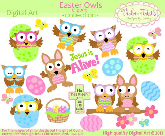 Owl Clip Art Spring Owl Digital Clip Art Owls Clipart Cute Owl Clip A