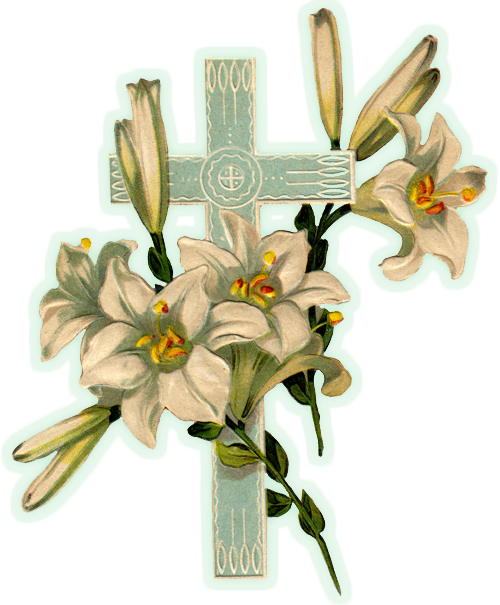 Spring Crosses   Cross Of The Day