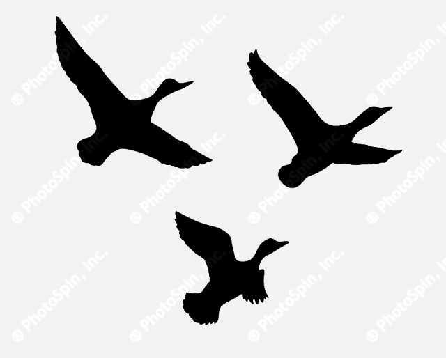 Flying Duck Silhouette   Clipart Panda   Free Clipart Images