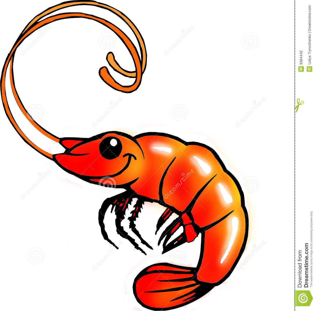 Funny Shrimp Stock Photography   Image  9384442