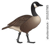 Goose Hunting Clip Art Vector Goose Hunting   39 Graphics   Clipart