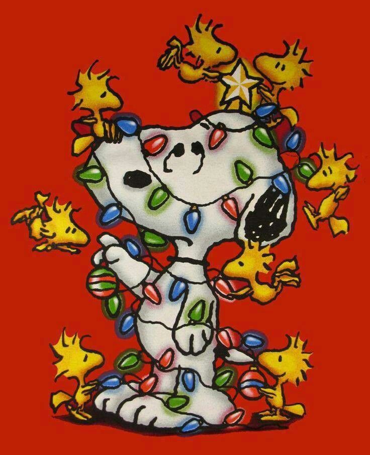 Lights On Snoopy   Christmas   Pinterest