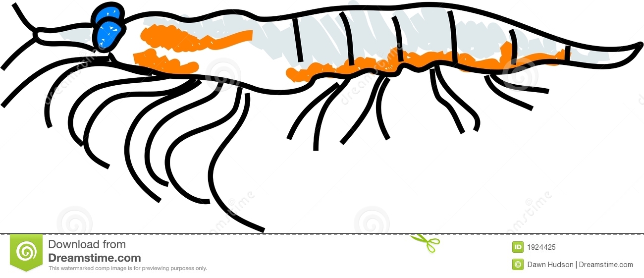 Marine Krill Isolated On White Drawn In Toddler Art Style