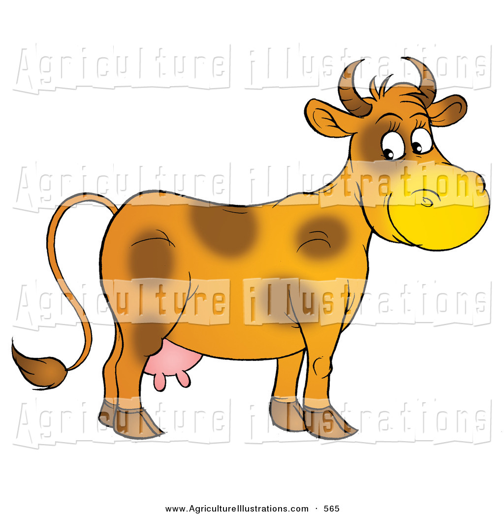 Agriculture Clipart Of A Cute And Friendly Orange Dairy Cow With Brown