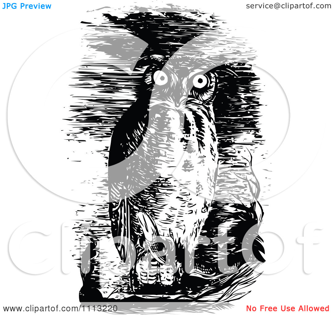 Clipart Vintage Horned Owl In The Night   Royalty Free Vector    