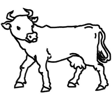 Cow Outline   Clipart Best