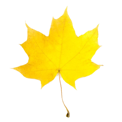Fall Colors Clipart