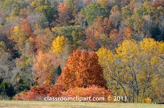 Fall Leaves   Fall Colors On Hillside   Classroom Clipart