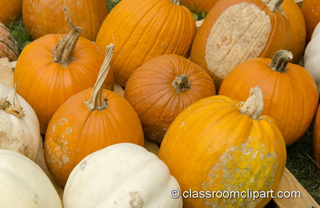 Holidays Festivals   Fall Pumpkins 4969   Classroom Clipart