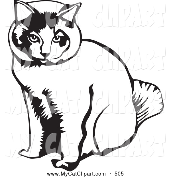 Of A Cute Sitting Cat Cat Clip Art David Rey