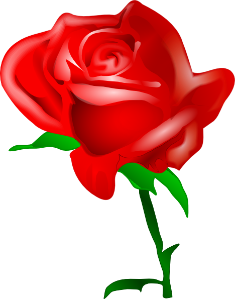 Red Rose Clip Art At Clker Com   Vector Clip Art Online Royalty Free