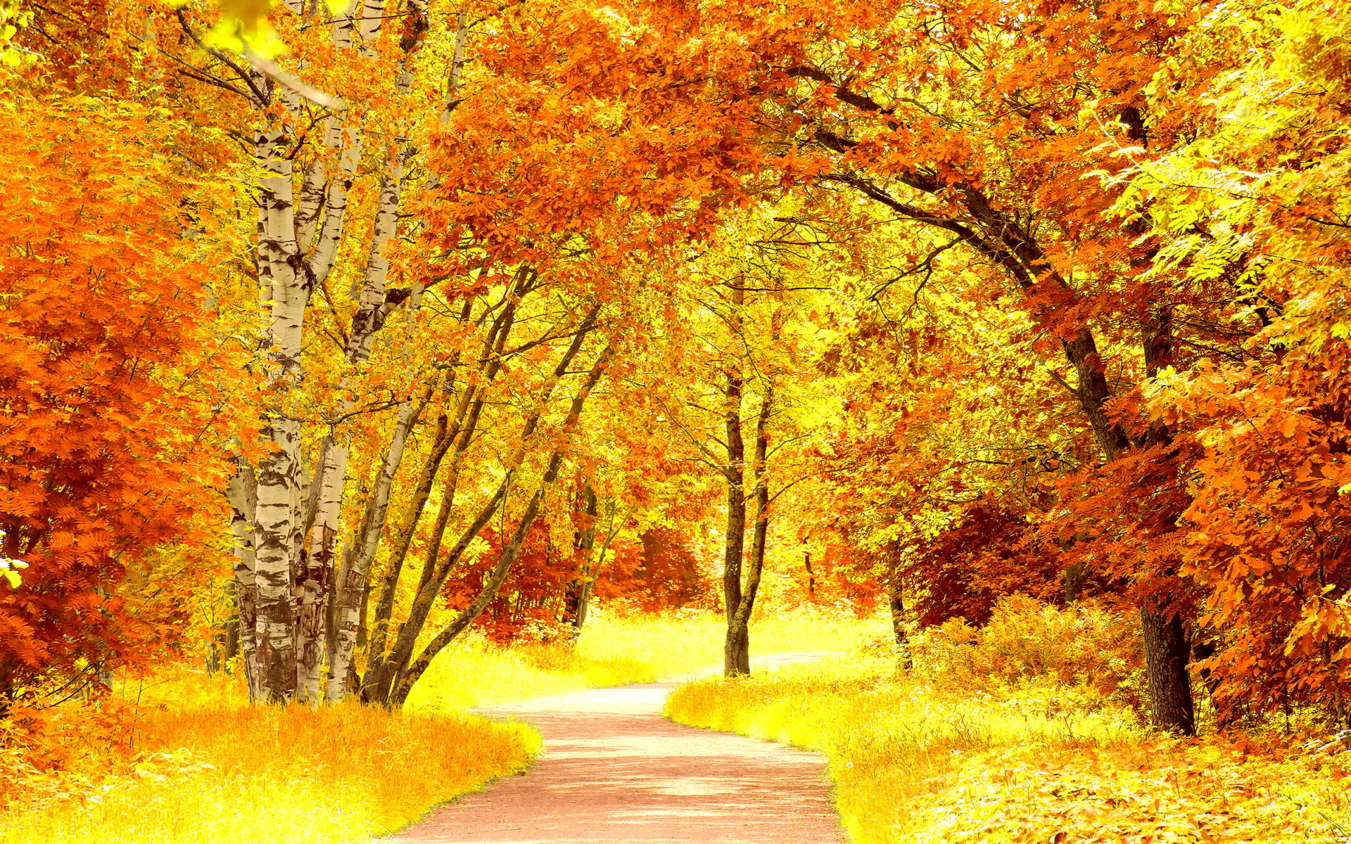 Red Yellow Autumn Scenery Wallpapers Pictures Photos Images