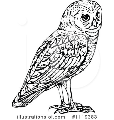 Royalty Free  Rf  Owl Clipart Illustration By Prawny Vintage   Stock