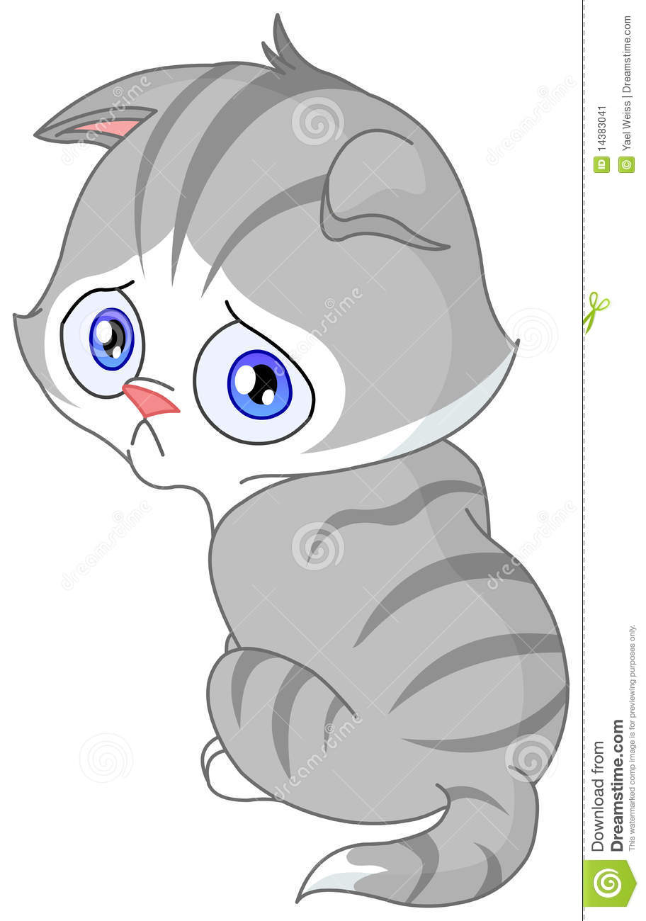 Sad Kitten Stock Image   Image  14383041