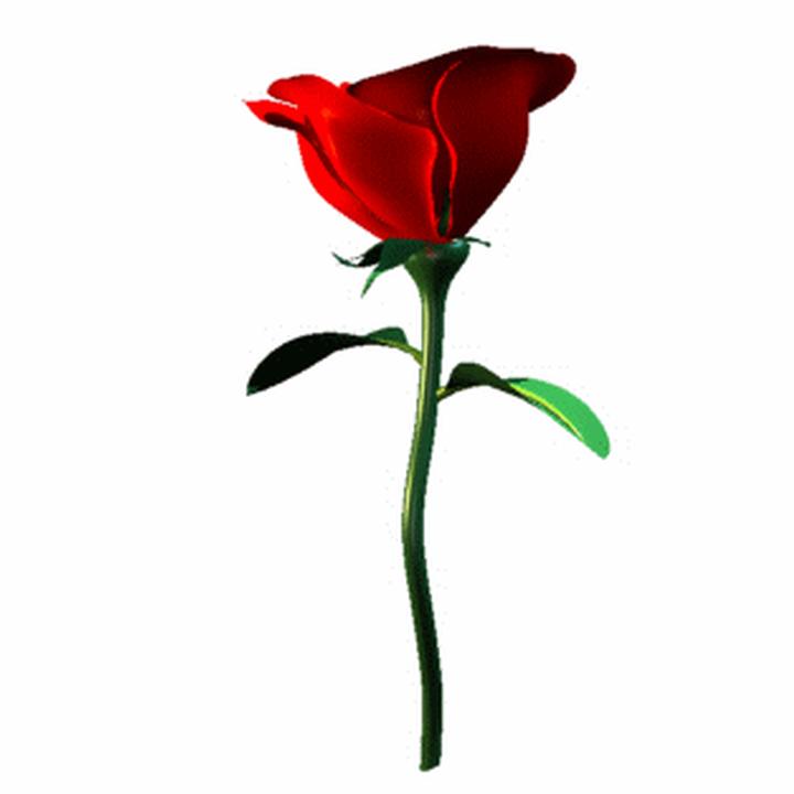 Single Flower With Stem Clipart Single Rose Clip Art