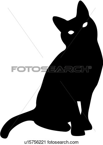 Vertebrate Kitty Black Cat Sitting Animal Mammal Cat View Large