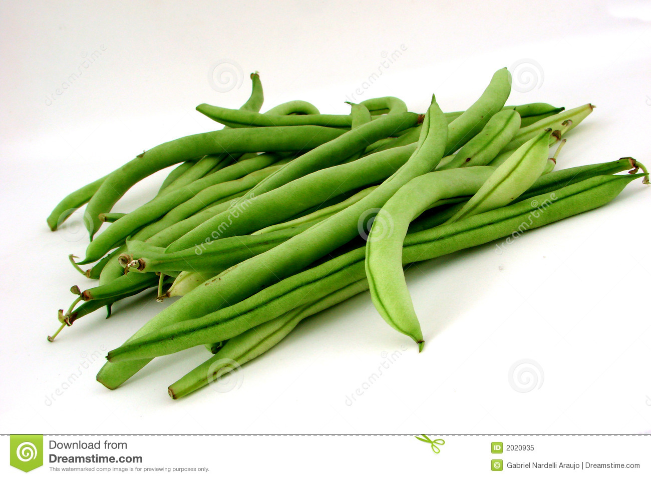 Viewing Gallery For   Green Bean Clip Art