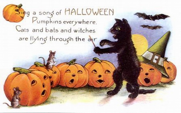 Vintage Halloween Black Cat Singing Pumpkins Mice Postcard