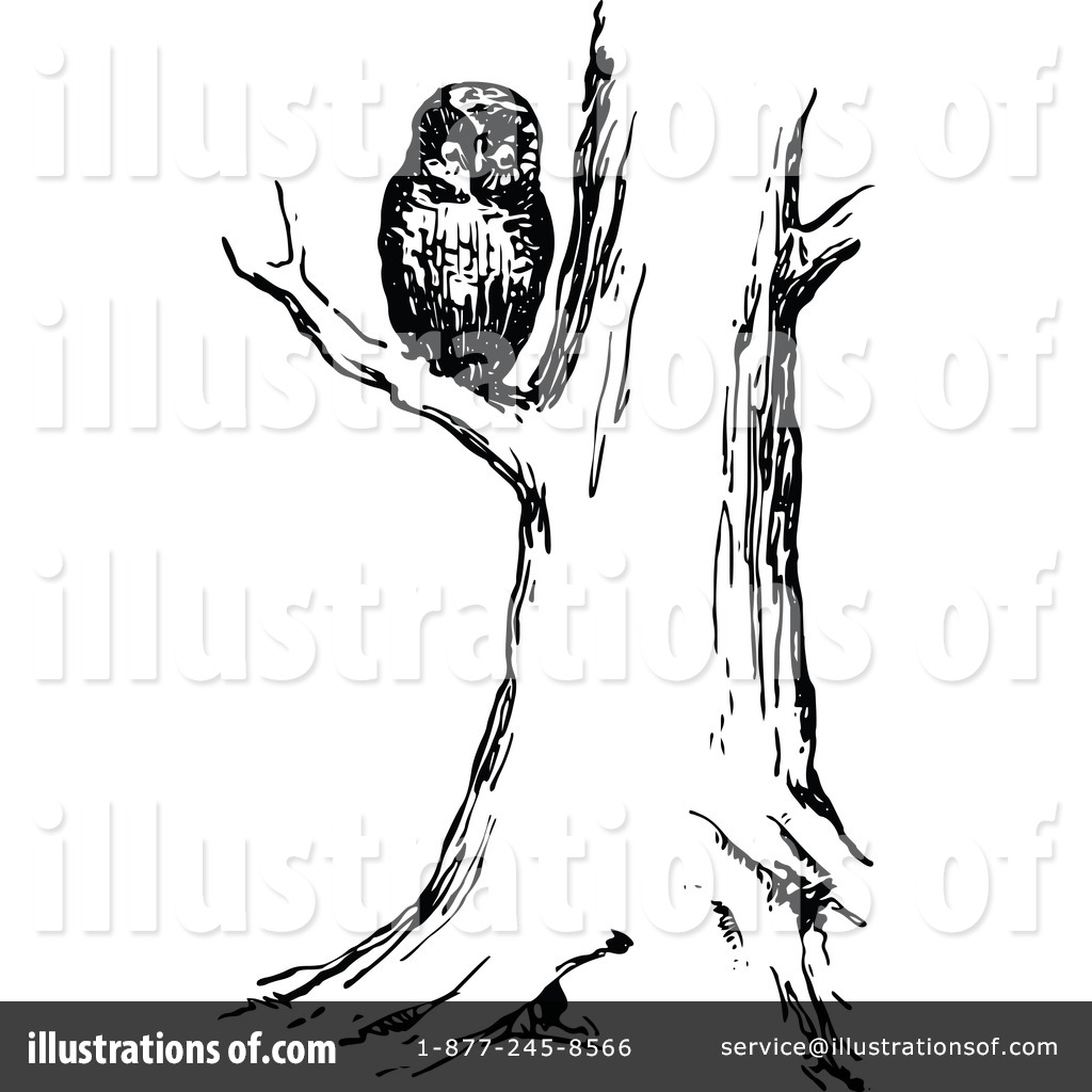 Vintage Owl Clip Art Black And White