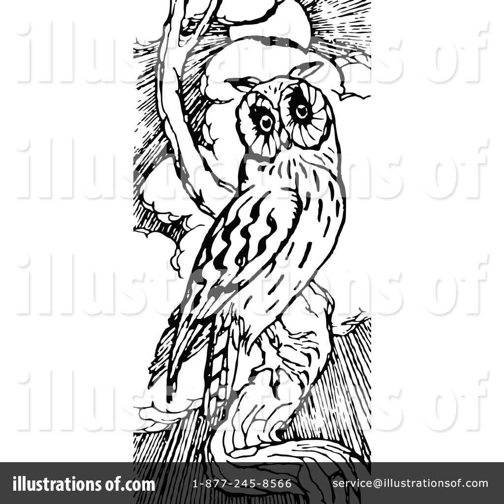 Vintage Owl Clip Art