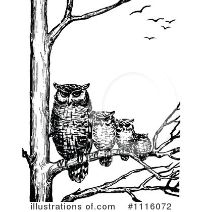 Vintage Owl Clip Art Royalty Free  Rf  Owls Clipart