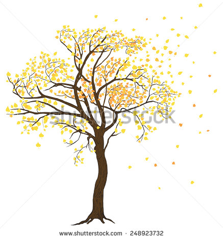 And Foliage Illustration With Detailed Drawing Bark   Stock Vector
