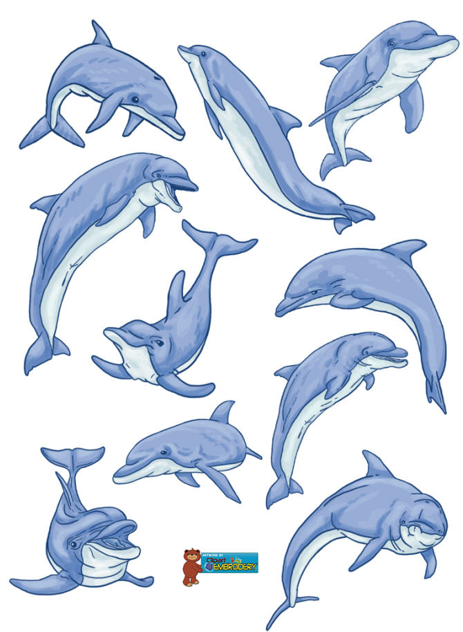Baby Dolphin Clipart Baby Dolphin Clipart
