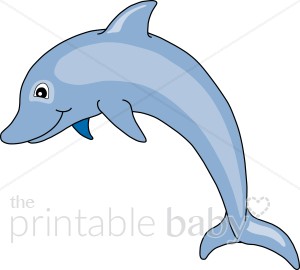 Clipart Starfish Clipart Swordfish Clipart Seal Playing With Balls