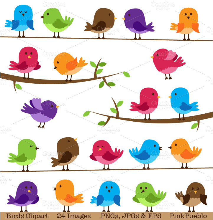 Cute Birds Clipart And Vectors   Illustrations On Creative Market