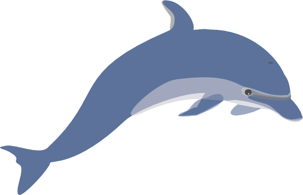 Dolphin 3 Clip Art At Clker Com   Vector Clip Art Online Royalty Free