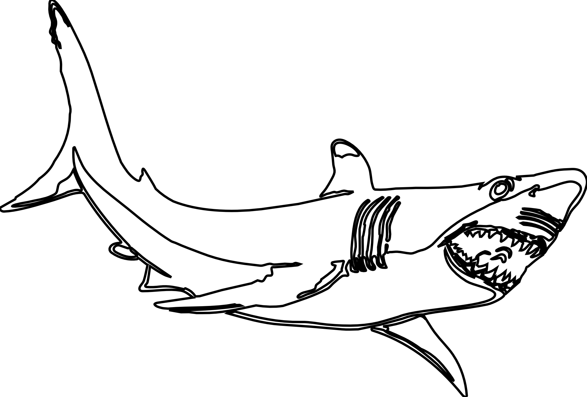 Hammerhead Shark Clipart Black And White   Clipart Panda   Free