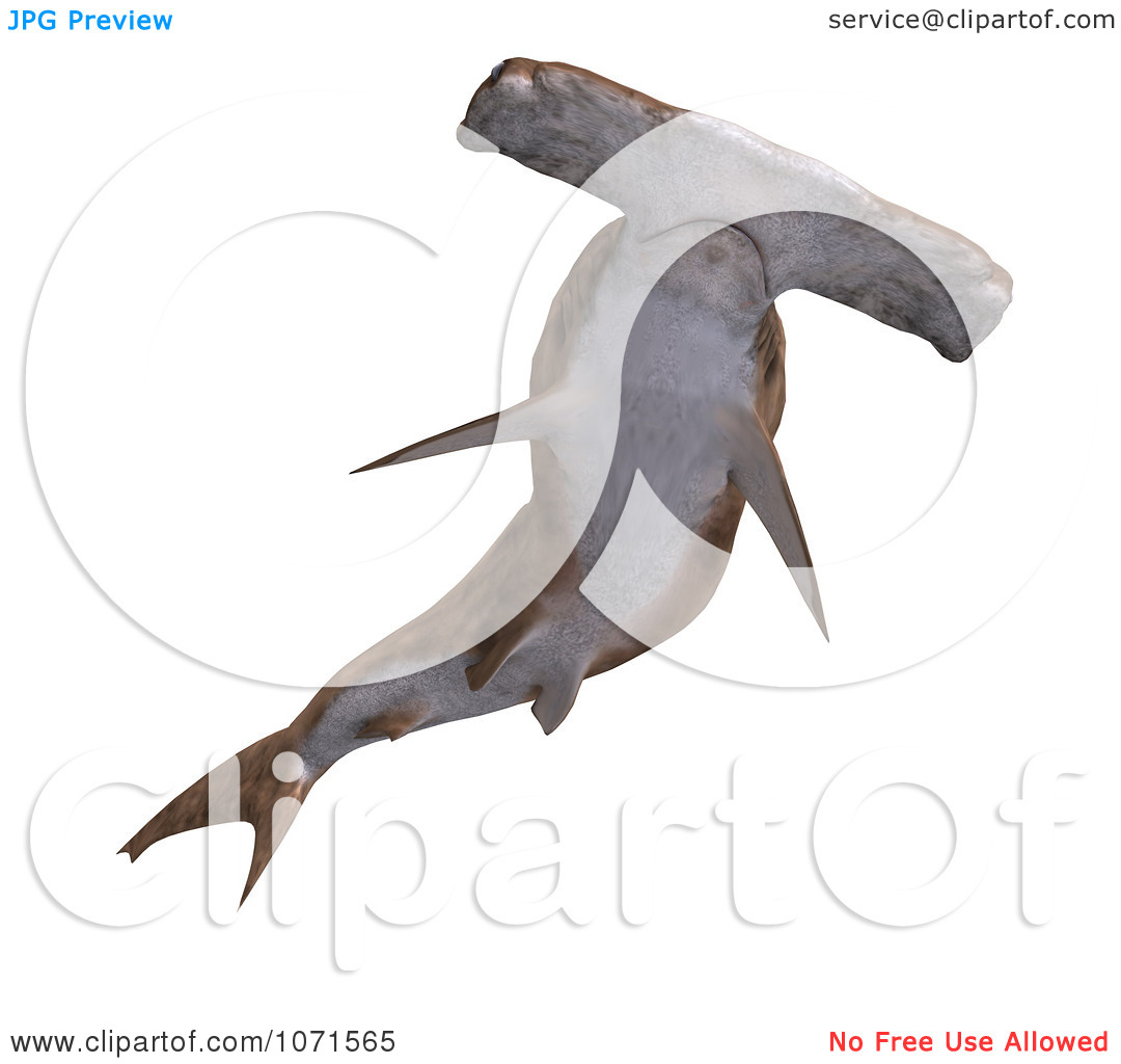 Hammerhead Shark Silhouette Tattoo Clipart 3d Brown Pictures