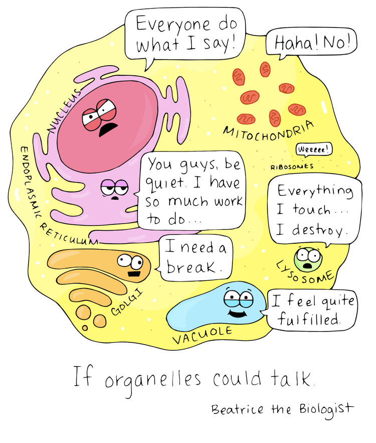 If Organelles Could Talk   Beatrice The Biologist