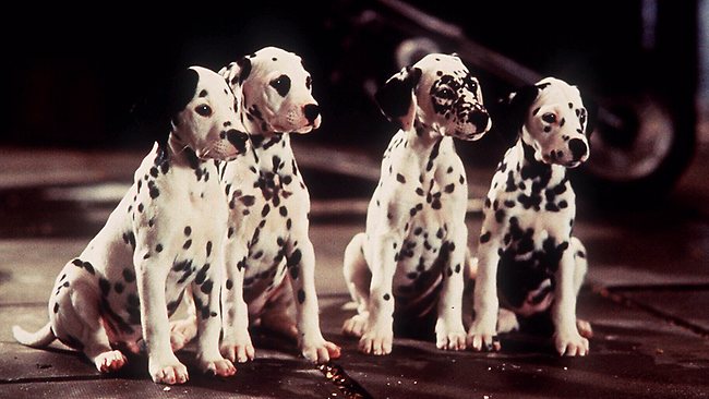 Related Pictures 101 Dalmatians Puppies Free Eps Clipart
