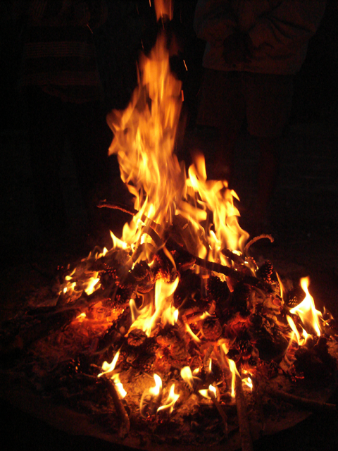 Description Campfire Pinecone Png