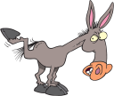 Terms  Animals Cartoon Cartoons Donkey Donkeys Kick Mule Mules Ass