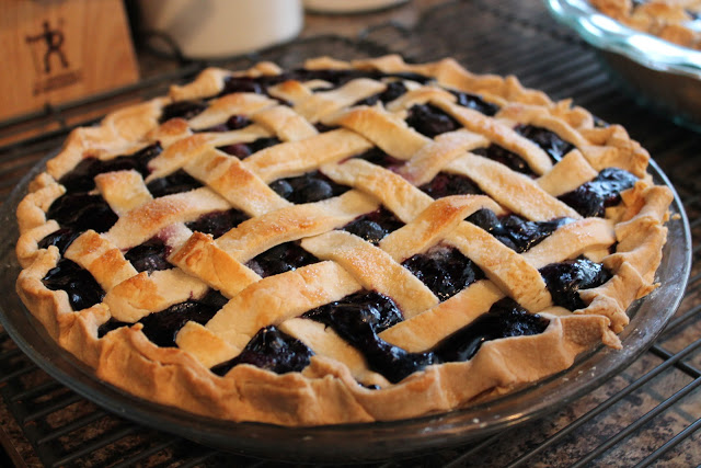 Thankful That My Completely Homemade Blueberry Pies Came Out Awesome
