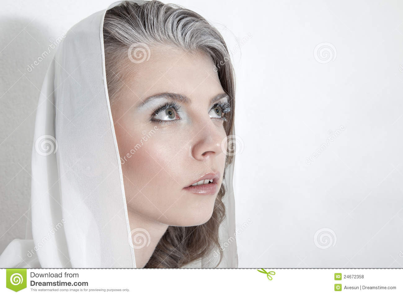 Woman With Snow Make Up Royalty Free Stock Photos   Image  24672358
